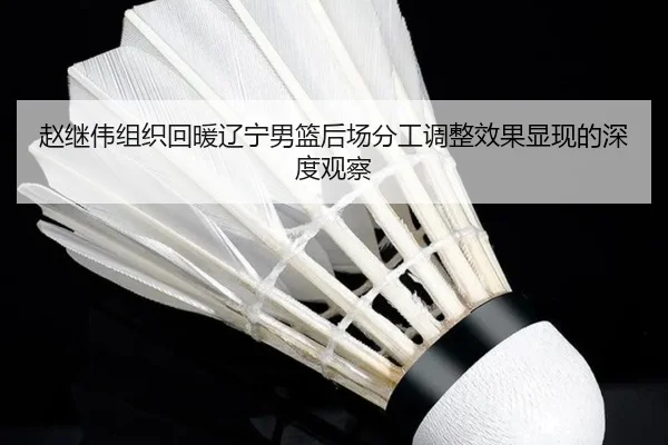 赵继伟组织回暖辽宁男篮后场分工调整效果显现的深度观察